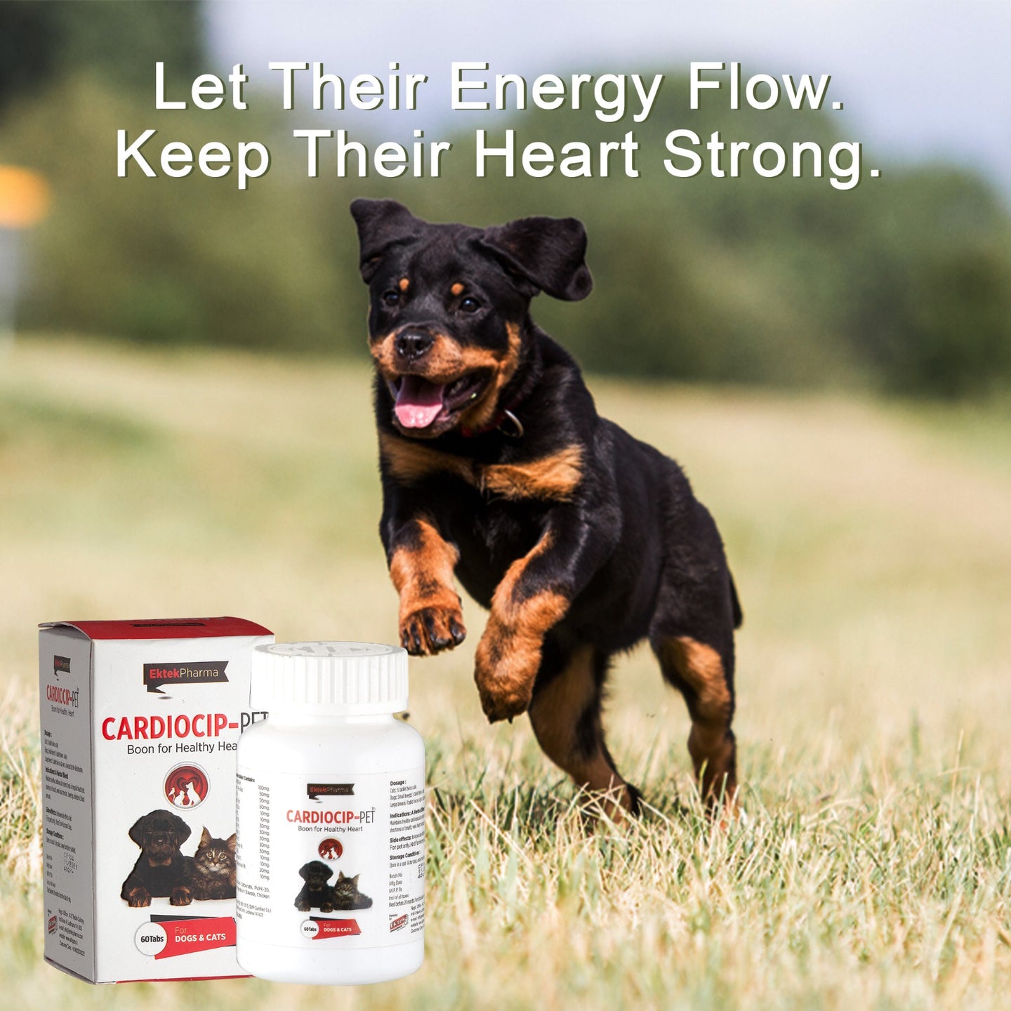 Cardiocip-Pet-60 Tablets (to Maintain Healthy Cardio Vascular System)